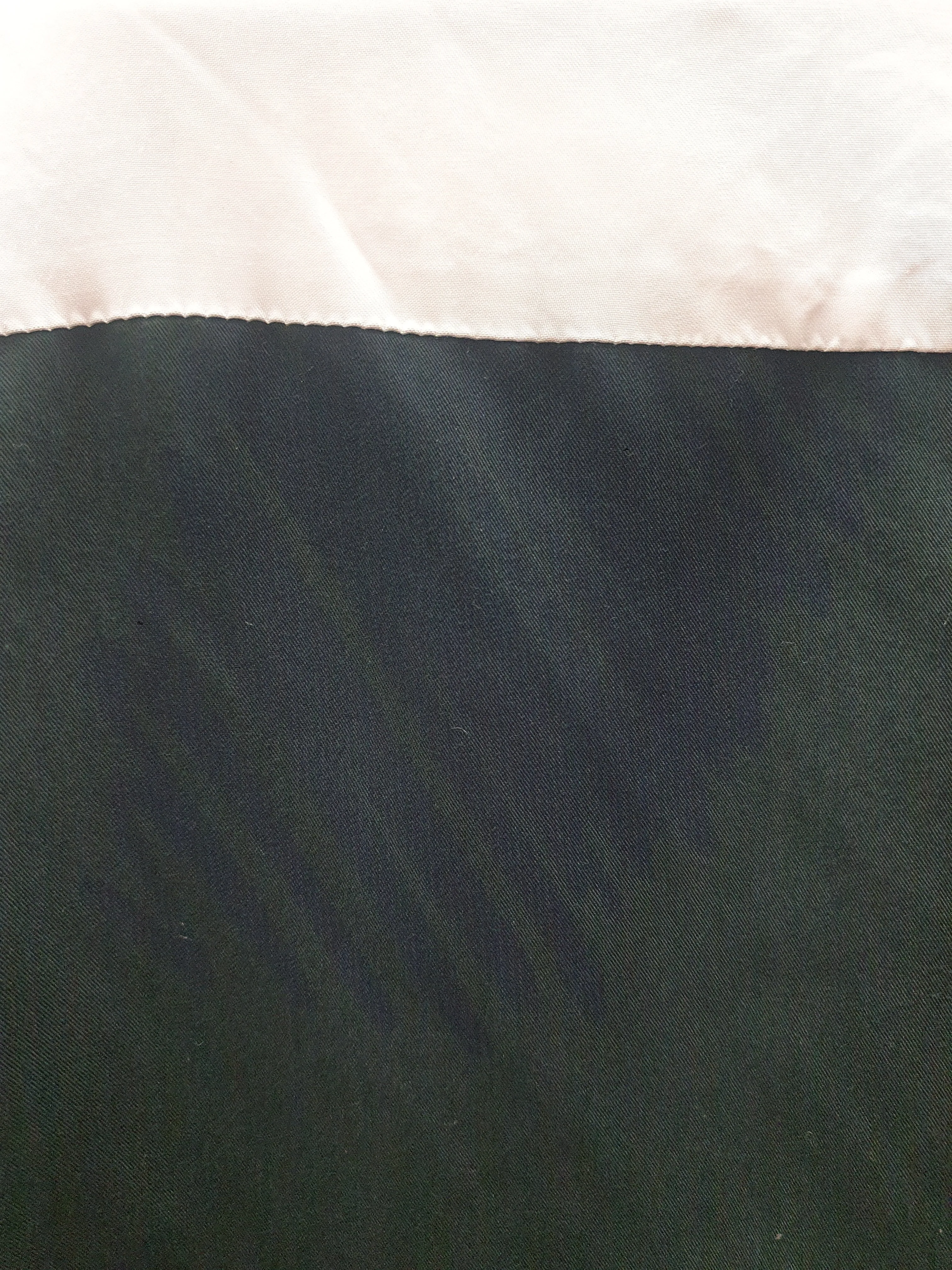 Alpha 60 cropped long sleeve green print and cream top size S