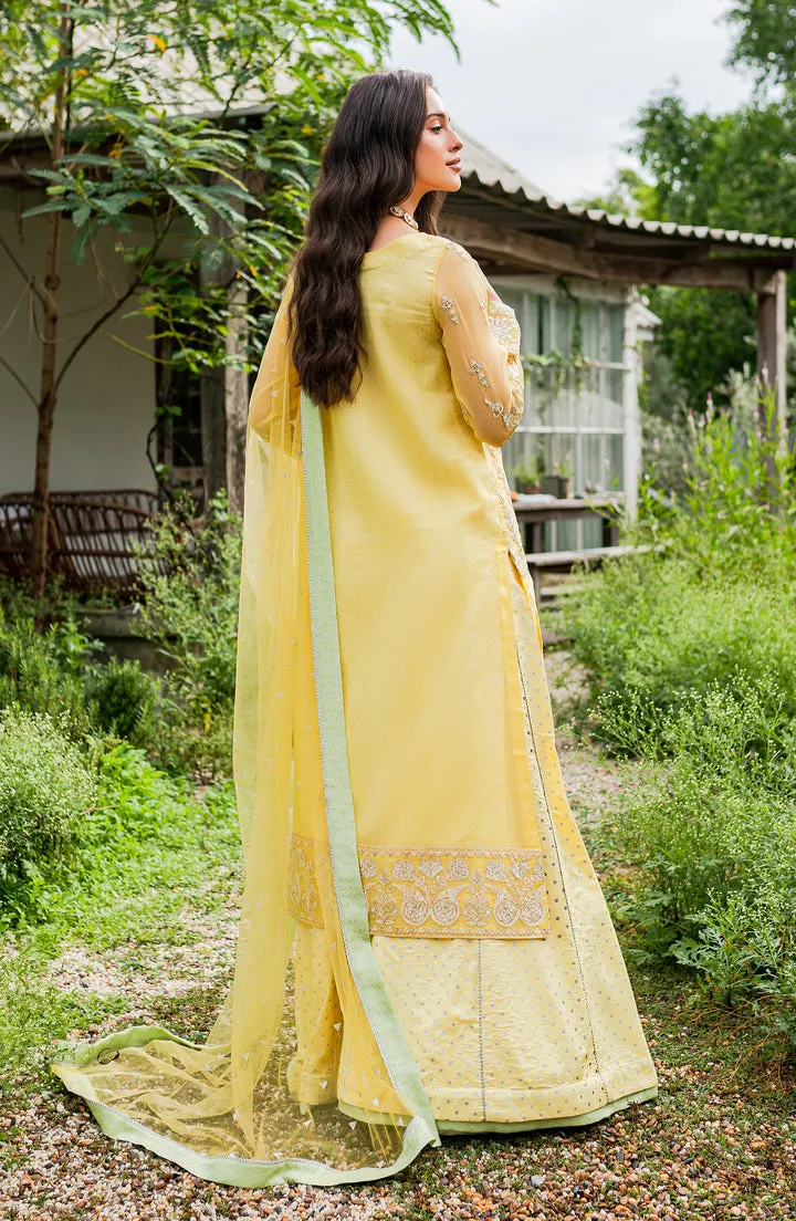 Classic Yellow Embroidered Pakistani Salwar Kameez in Plazo Style