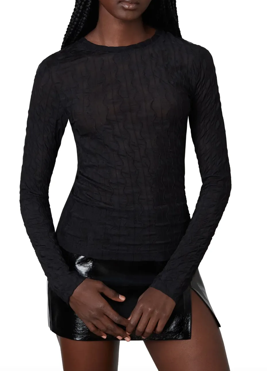 Crew Neck Mesh Long Sleeve Top