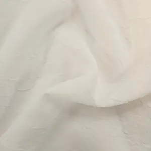 Crinkled Sheer Fabric