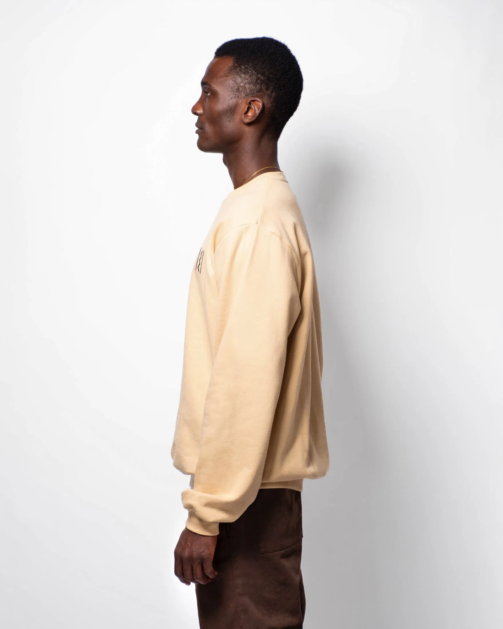 Icon Beige Crewneck