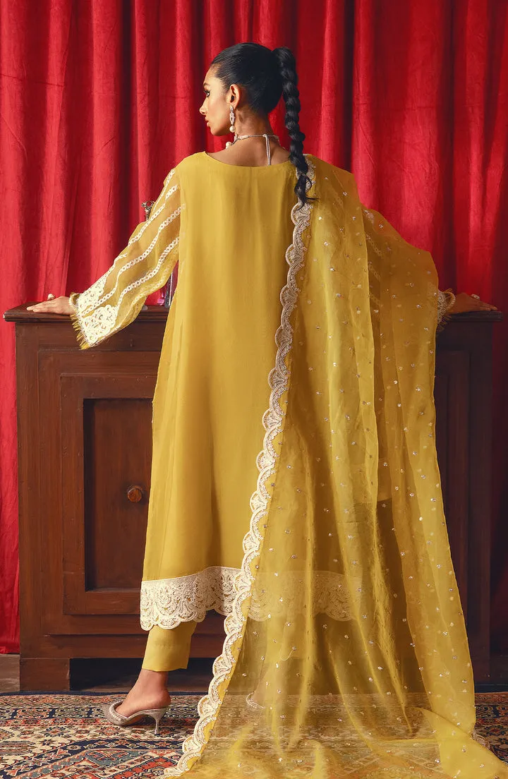 Lemon Yellow Embroidered Pakistani Salwar Kameez Dupatta Salwar Suit