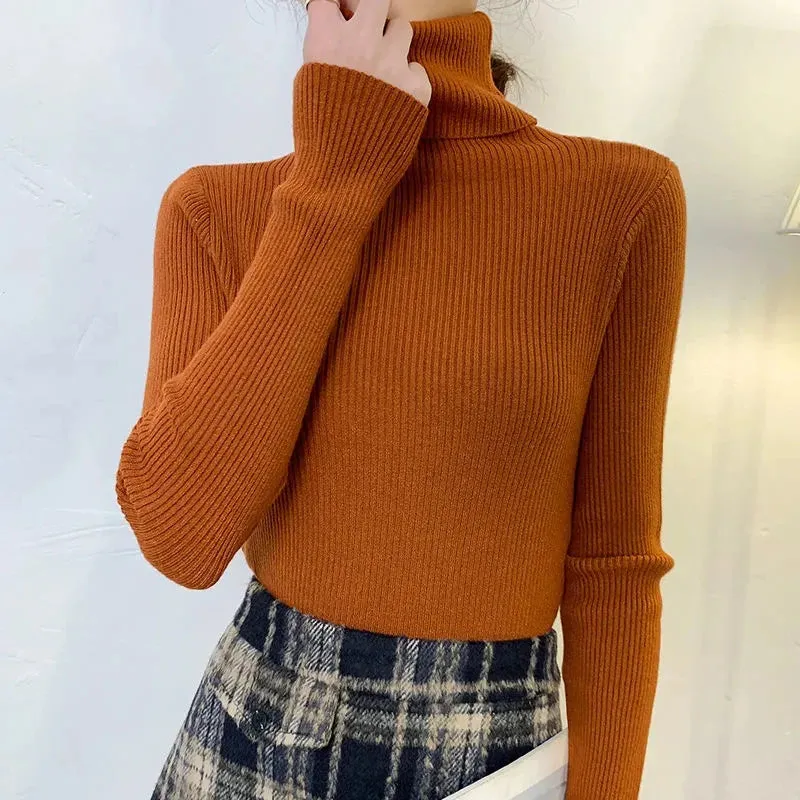 Women's Turtleneck Cashmere Sweater